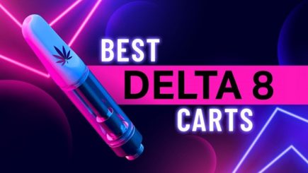 Tips for Selecting the Best Delta 8 Brand Online
