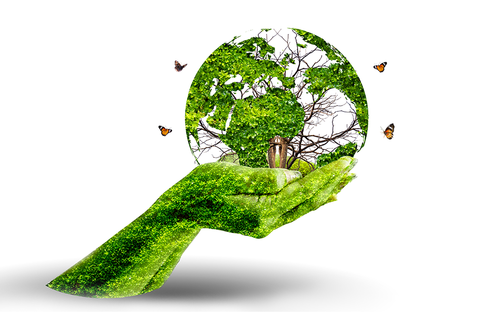 Eco-Friendly Travel Tips for a Sustainable Adventure Experience